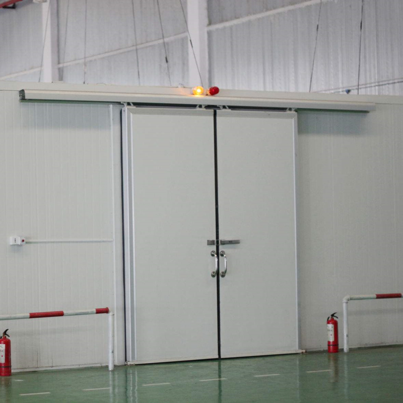 Powered Cold Room Sliding Door — product image 1